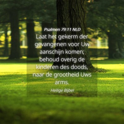 Picture 04 - Psalmen 79:11 NLD - Laat het gekerm der gevangenen voor Uw aanschijn - Bible Verse Picture