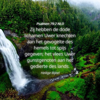 Picture 04 - Psalmen 79:2 NLD - Zij hebben de dode lichamen Uwer knechten aan het - Bible Verse Picture