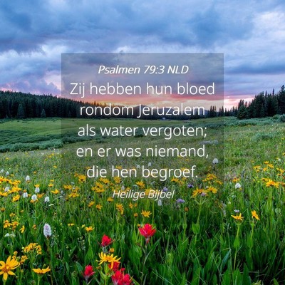 Picture 04 - Psalmen 79:3 NLD - Zij hebben hun bloed rondom Jeruzalem als water - Bible Verse Picture