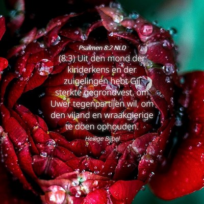 Picture 04 - Psalmen 8:2 NLD - (8:3) Uit den mond der kinderkens en der - Bible Verse Picture