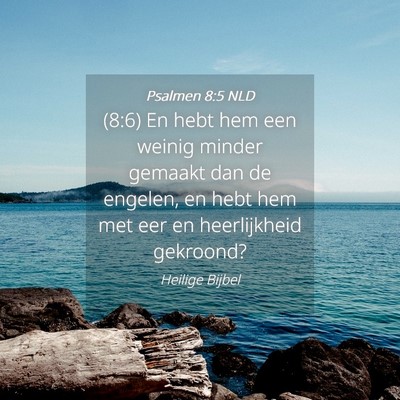 Picture 04 - Psalmen 8:5 NLD - (8:6) En hebt hem een weinig minder gemaakt dan - Bible Verse Picture