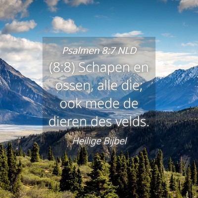 Picture 04 - Psalmen 8:7 NLD - (8:8) Schapen en ossen, alle die; ook mede de - Bible Verse Picture