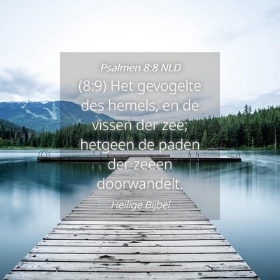 Picture 04 - Psalmen 8:8 NLD - (8:9) Het gevogelte des hemels, en de vissen der - Bible Verse Picture