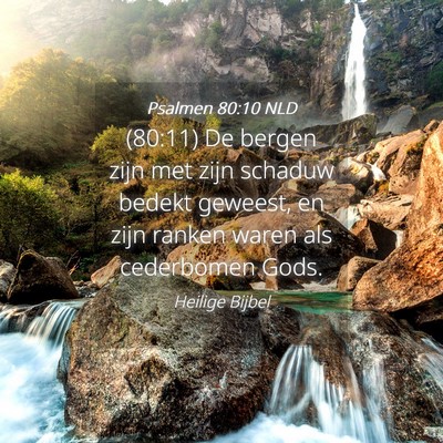 Picture 04 - Psalmen 80:10 NLD - (80:11) De bergen zijn met zijn schaduw bedekt - Bible Verse Picture