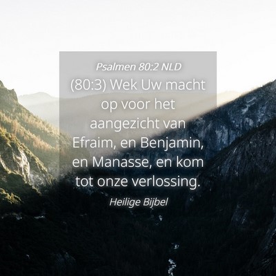 Picture 04 - Psalmen 80:2 NLD - (80:3) Wek Uw macht op voor het aangezicht van - Bible Verse Picture