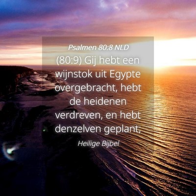 Picture 04 - Psalmen 80:8 NLD - (80:9) Gij hebt een wijnstok uit Egypte - Bible Verse Picture