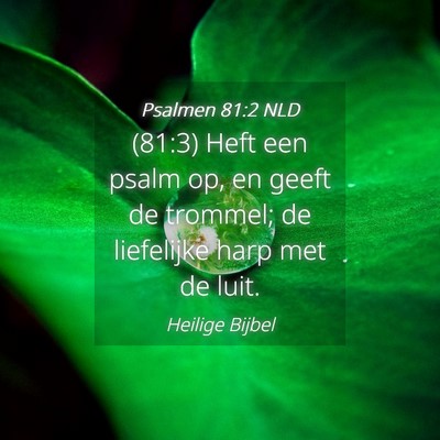 Picture 04 - Psalmen 81:2 NLD - (81:3) Heft een psalm op, en geeft de trommel; de - Bible Verse Picture