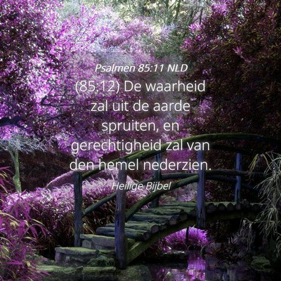 Picture 04 - Psalmen 85:11 NLD - (85:12) De waarheid zal uit de aarde spruiten, en - Bible Verse Picture