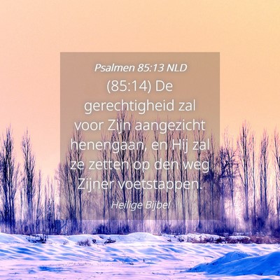 Picture 04 - Psalmen 85:13 NLD - (85:14) De gerechtigheid zal voor Zijn aangezicht - Bible Verse Picture