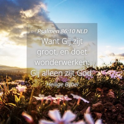 Picture 04 - Psalmen 86:10 NLD - Want Gij zijt groot, en doet wonderwerken; Gij - Bible Verse Picture