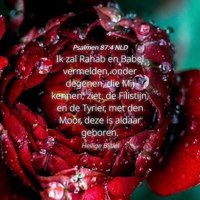 Picture 04 - Psalmen 87:4 NLD - Ik zal Rahab en Babel vermelden, onder degenen, - Bible Verse Picture