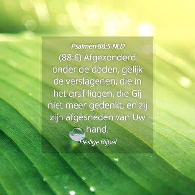 Picture 04 - Psalmen 88:5 NLD - (88:6) Afgezonderd onder de doden, gelijk de - Bible Verse Picture