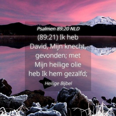 Picture 04 - Psalmen 89:20 NLD - (89:21) Ik heb David, Mijn knecht, gevonden; met - Bible Verse Picture