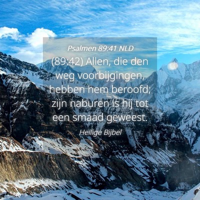 Picture 04 - Psalmen 89:41 NLD - (89:42) Allen, die den weg voorbijgingen, hebben - Bible Verse Picture