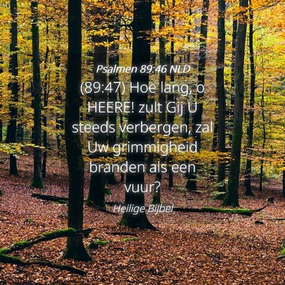 Picture 04 - Psalmen 89:46 NLD - (89:47) Hoe lang, o HEERE! zult Gij U steeds - Bible Verse Picture