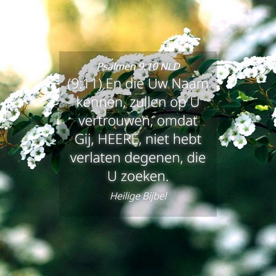 Picture 04 - Psalmen 9:10 NLD - (9:11) En die Uw Naam kennen, zullen op U - Bible Verse Picture