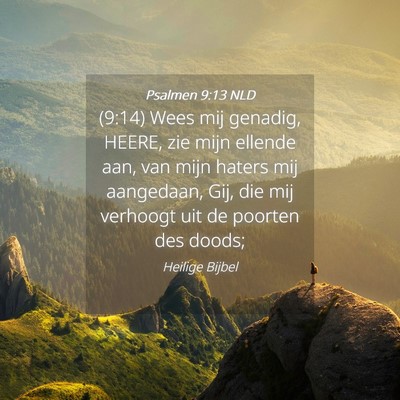 Picture 04 - Psalmen 9:13 NLD - (9:14) Wees mij genadig, HEERE, zie mijn ellende - Bible Verse Picture