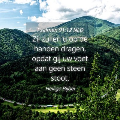 Picture 04 - Psalmen 91:12 NLD - Zij zullen u op de handen dragen, opdat gij uw - Bible Verse Picture
