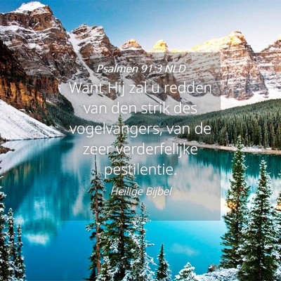 Picture 04 - Psalmen 91:3 NLD - Want Hij zal u redden van den strik des - Bible Verse Picture