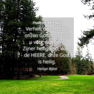 Picture 04 - Psalmen 99:9 NLD - Verheft den HEERE, onzen God, en buigt u voor den - Bible Verse Picture