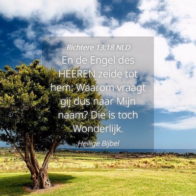 Picture 04 - Richtere 13:18 NLD - En de Engel des HEEREN zeide tot hem: Waarom - Bible Verse Picture
