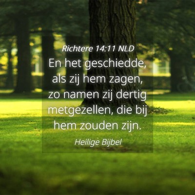 Picture 04 - Richtere 14:11 NLD - En het geschiedde, als zij hem zagen, zo namen - Bible Verse Picture