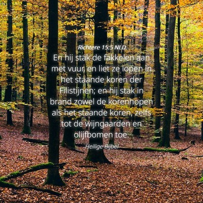Picture 04 - Richtere 15:5 NLD - En hij stak de fakkelen aan met vuur, en liet ze - Bible Verse Picture