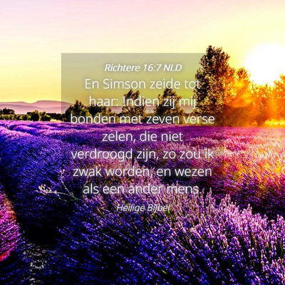 Picture 04 - Richtere 16:7 NLD - En Simson zeide tot haar: Indien zij mij bonden - Bible Verse Picture