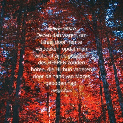 Picture 04 - Richtere 3:4 NLD - Dezen dan waren, om Israel door hen te verzoeken, - Bible Verse Picture