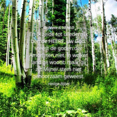 Picture 04 - Richtere 6:10 NLD - En Ik zeide tot ulieden: Ik ben de HEERE, uw God; - Bible Verse Picture