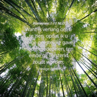 Picture 04 - Romeinen 1:11 NLD - Want ik verlang om u te zien, opdat ik u enige - Bible Verse Picture
