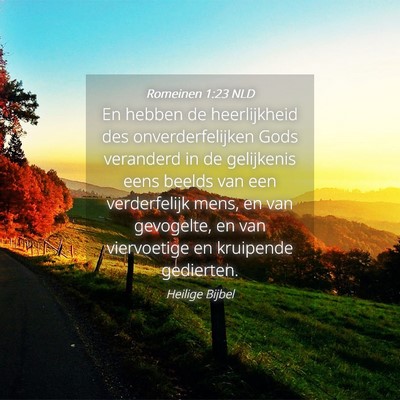 Picture 04 - Romeinen 1:23 NLD - En hebben de heerlijkheid des onverderfelijken - Bible Verse Picture