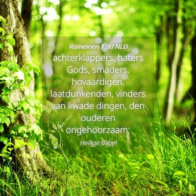 Picture 04 - Romeinen 1:30 NLD - achterklappers, haters Gods, smaders, - Bible Verse Picture