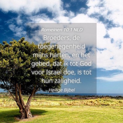 Picture 04 - Romeinen 10:1 NLD - Broeders, de toegenegenheid mijns harten, en het - Bible Verse Picture