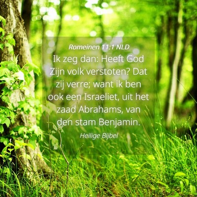 Picture 04 - Romeinen 11:1 NLD - Ik zeg dan: Heeft God Zijn volk verstoten? Dat - Bible Verse Picture
