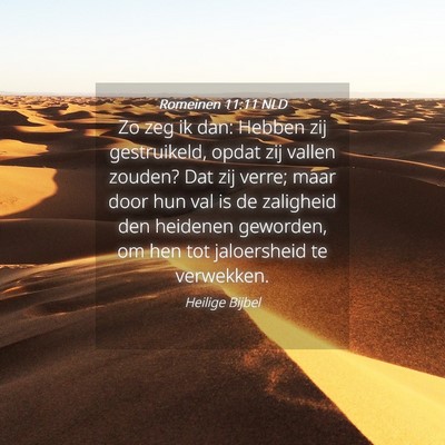 Picture 04 - Romeinen 11:11 NLD - Zo zeg ik dan: Hebben zij gestruikeld, opdat zij - Bible Verse Picture