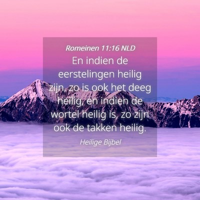 Picture 04 - Romeinen 11:16 NLD - En indien de eerstelingen heilig zijn, zo is ook - Bible Verse Picture