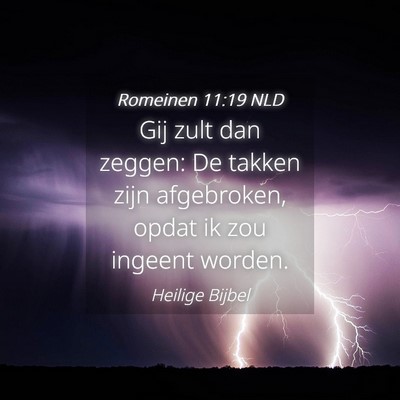Picture 04 - Romeinen 11:19 NLD - Gij zult dan zeggen: De takken zijn afgebroken, - Bible Verse Picture