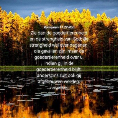 Picture 04 - Romeinen 11:22 NLD - Zie dan de goedertierenheid en de strengheid van - Bible Verse Picture