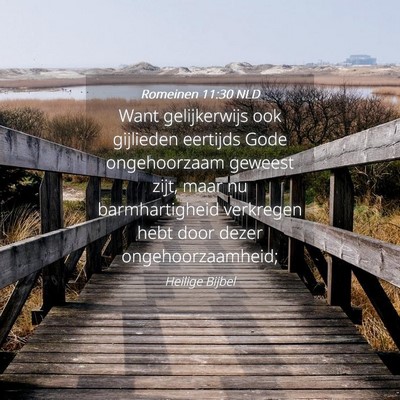 Picture 04 - Romeinen 11:30 NLD - Want gelijkerwijs ook gijlieden eertijds Gode - Bible Verse Picture