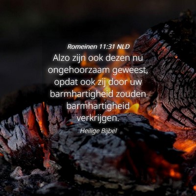 Picture 04 - Romeinen 11:31 NLD - Alzo zijn ook dezen nu ongehoorzaam geweest, - Bible Verse Picture