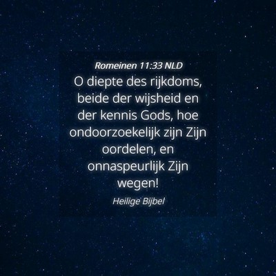 Picture 04 - Romeinen 11:33 NLD - O diepte des rijkdoms, beide der wijsheid en der - Bible Verse Picture