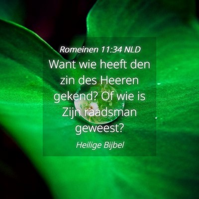 Picture 04 - Romeinen 11:34 NLD - Want wie heeft den zin des Heeren gekend? Of wie - Bible Verse Picture