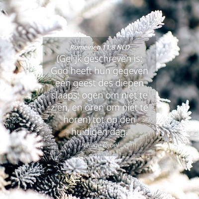 Picture 04 - Romeinen 11:8 NLD - (Gelijk geschreven is: God heeft hun gegeven een - Bible Verse Picture