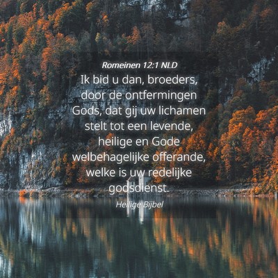 Picture 04 - Romeinen 12:1 NLD - Ik bid u dan, broeders, door de ontfermingen - Bible Verse Picture