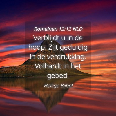 Picture 04 - Romeinen 12:12 NLD - Verblijdt u in de hoop. Zijt geduldig in de - Bible Verse Picture