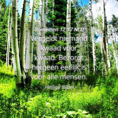 Picture 04 - Romeinen 12:17 NLD - Vergeldt niemand kwaad voor kwaad. Bezorgt - Bible Verse Picture