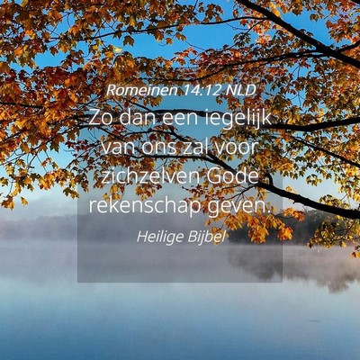 Picture 04 - Romeinen 14:12 NLD - Zo dan een iegelijk van ons zal voor zichzelven - Bible Verse Picture