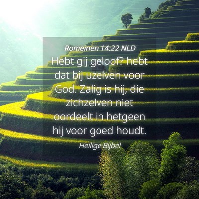 Picture 04 - Romeinen 14:22 NLD - Hebt gij geloof? hebt dat bij uzelven voor God. - Bible Verse Picture
