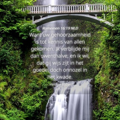 Picture 04 - Romeinen 16:19 NLD - Want uw gehoorzaamheid is tot kennis van allen - Bible Verse Picture